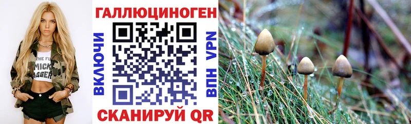 как найти закладки  Княгинино  Галлюциногенные грибы мицелий 